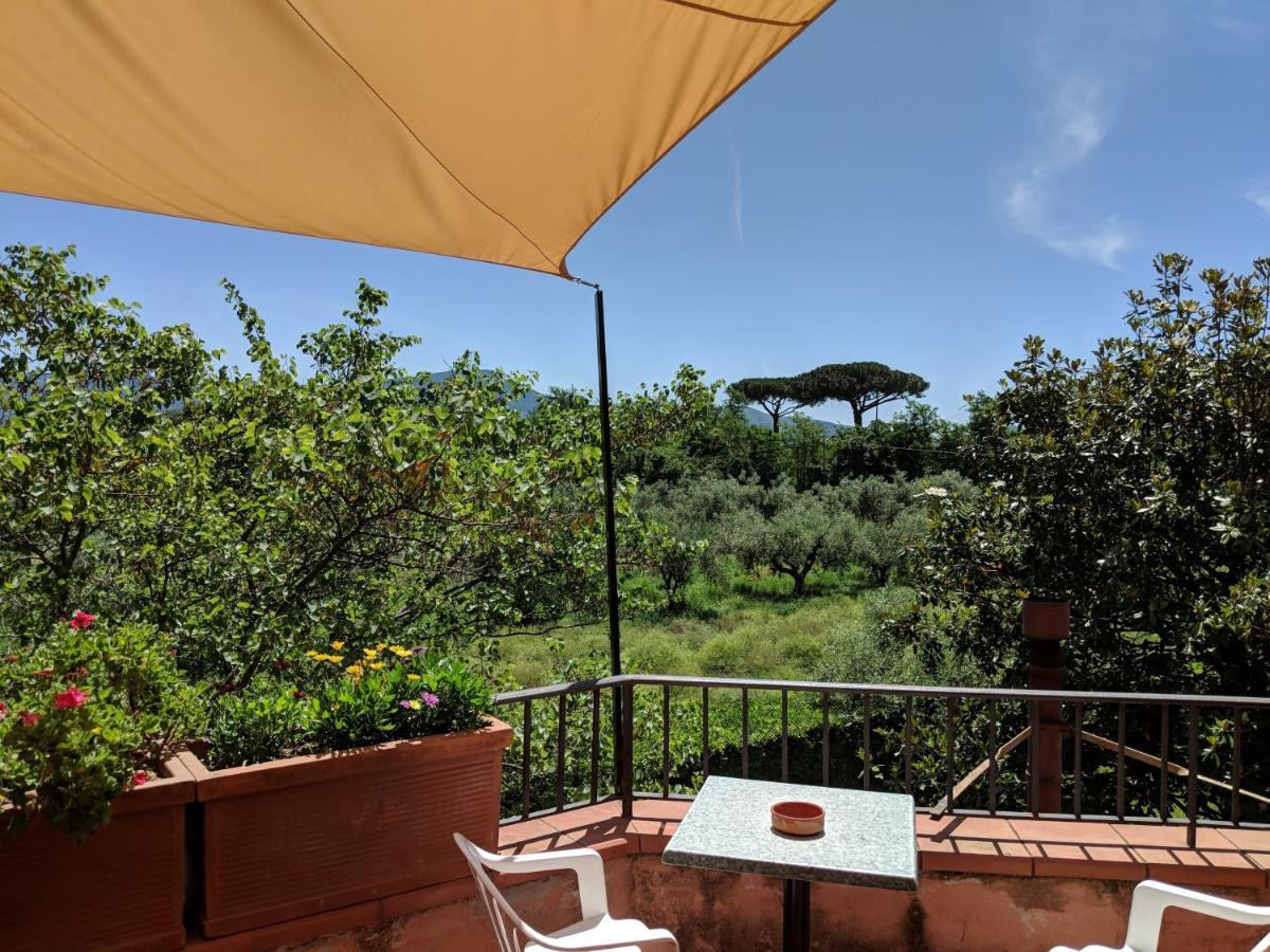 Villa Rosa Lifestyle B&B 塞萨奥伦卡 外观 照片